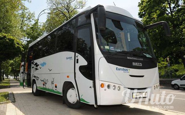 аренда авто Автобус Iveco 31 место на свадьбу