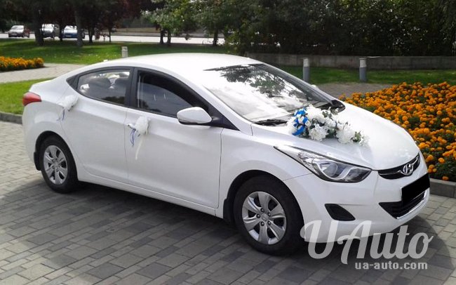аренда авто Hyundai Elantra на свадьбу
