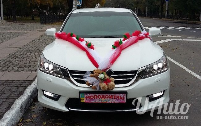 аренда авто Honda Accord New в Киеве