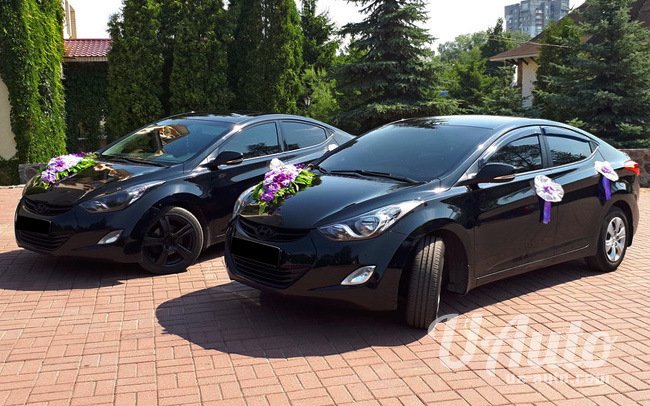 аренда авто Hyundai Elantra на свадьбу