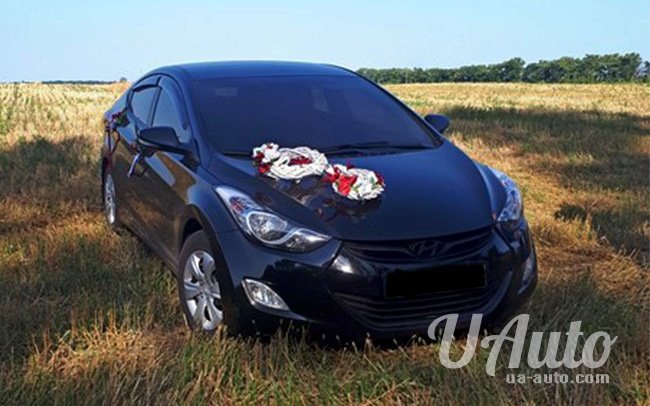 аренда авто Hyundai Elantra в Киеве
