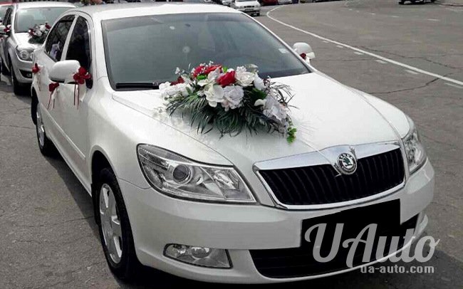 аренда авто Skoda Octavia A5 в Киеве