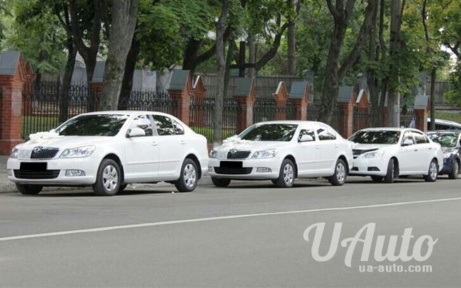 аренда авто Skoda Octavia A5 в Киеве