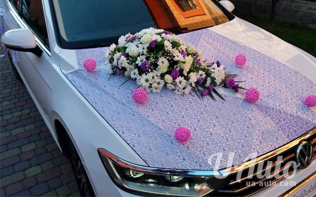 аренда авто Volkswagen Passat B8 в Киеве