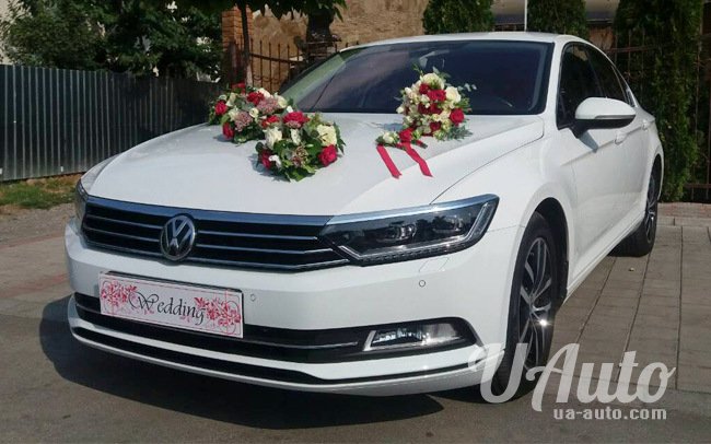 аренда авто Volkswagen Passat B8 в Киеве