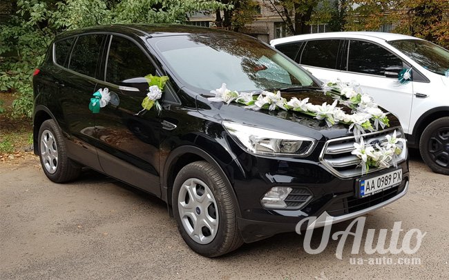 аренда авто Ford Kuga в Киеве