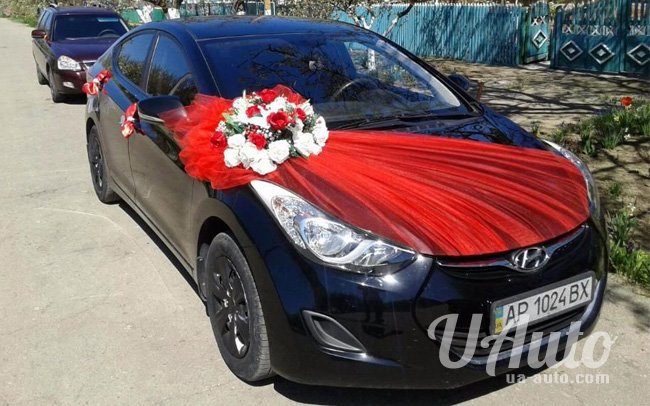 аренда авто Hyundai Elantra в Киеве
