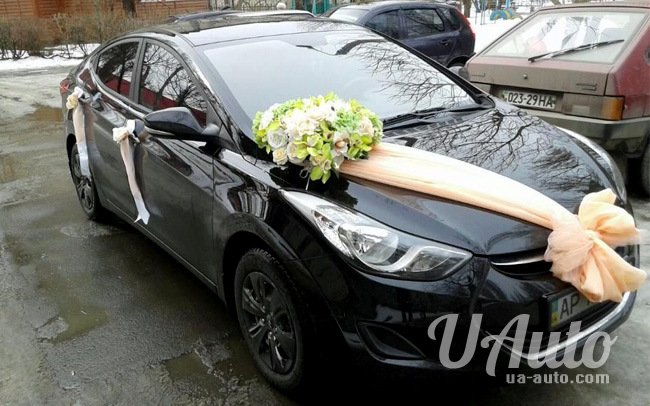 аренда авто Hyundai Elantra в Киеве