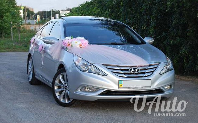 аренда авто Hyundai Sonata в Киеве