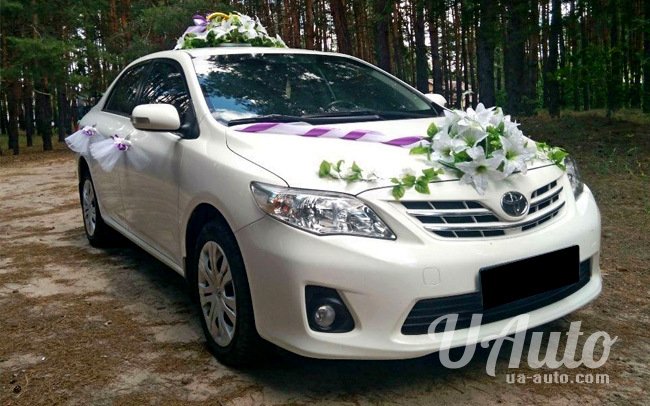 аренда авто Toyota Corolla в Киеве