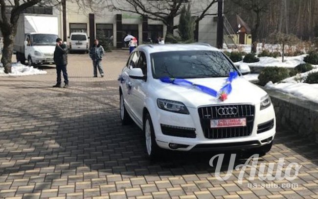 аренда авто Audi Q7 в Киеве