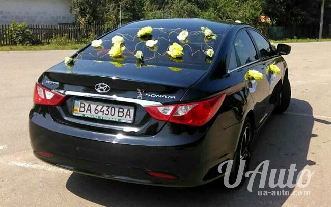 аренда авто Hyundai Sonata YF в Киеве