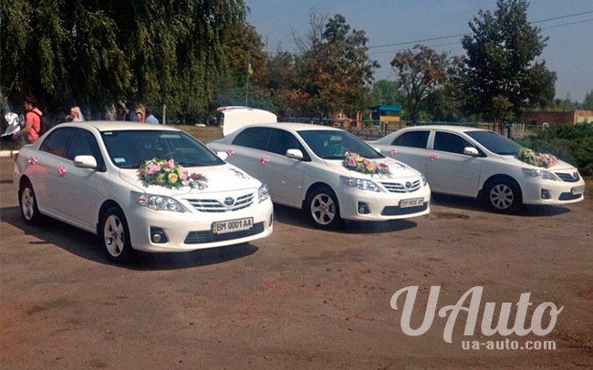 аренда авто Toyota Corolla в Киеве