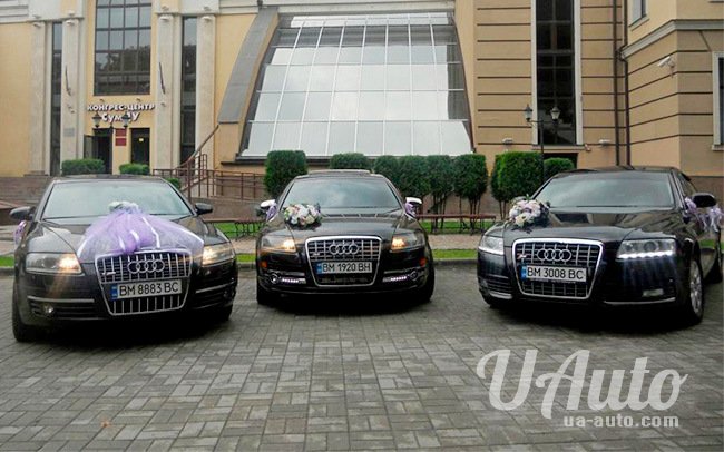 аренда авто Audi A6 в Киеве