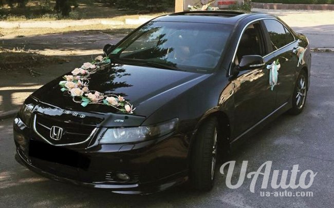 аренда авто Honda Accord в Киеве