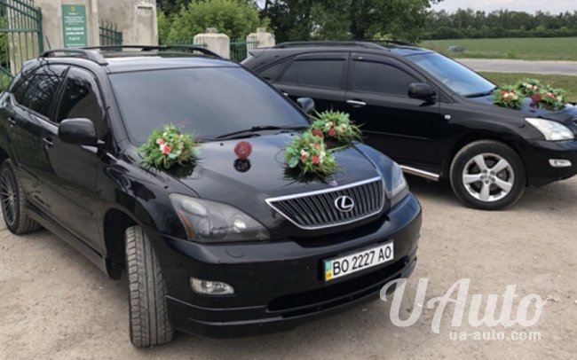 аренда авто Lexus RX в Киеве