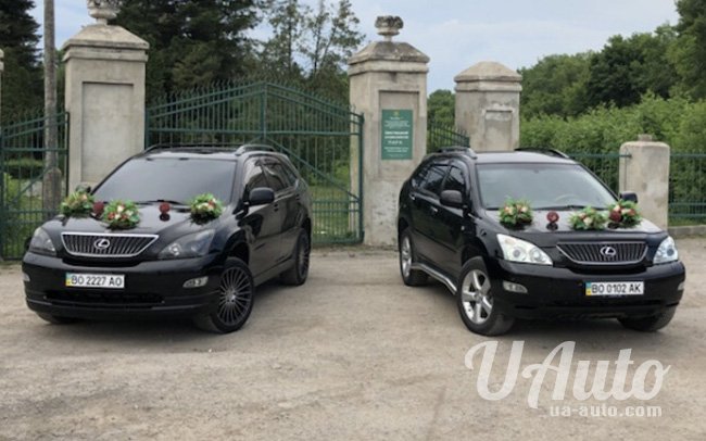 аренда авто Lexus RX в Киеве