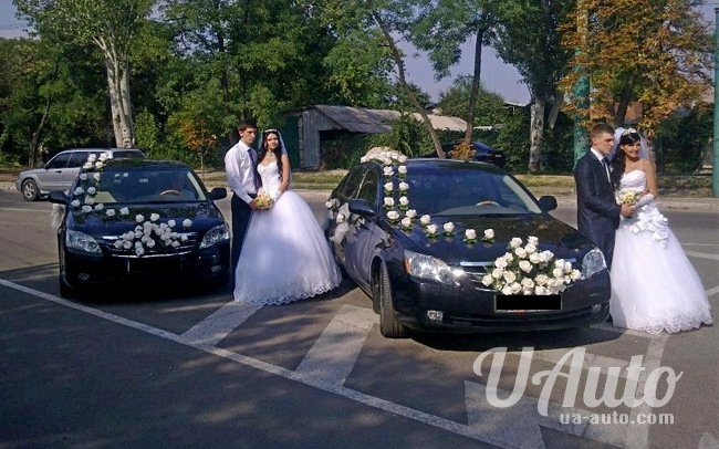аренда авто Toyota Avalon в Киеве